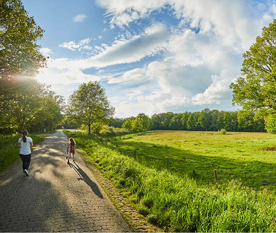 Ontdek de omgeving van Restaurant Reuselink