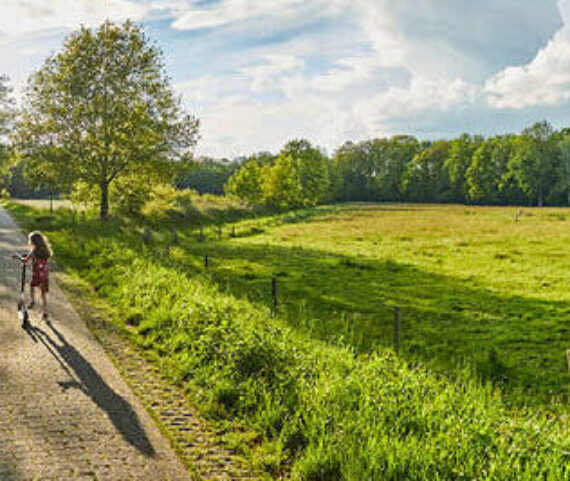 Ontdek de omgeving van Restaurant Reuselink