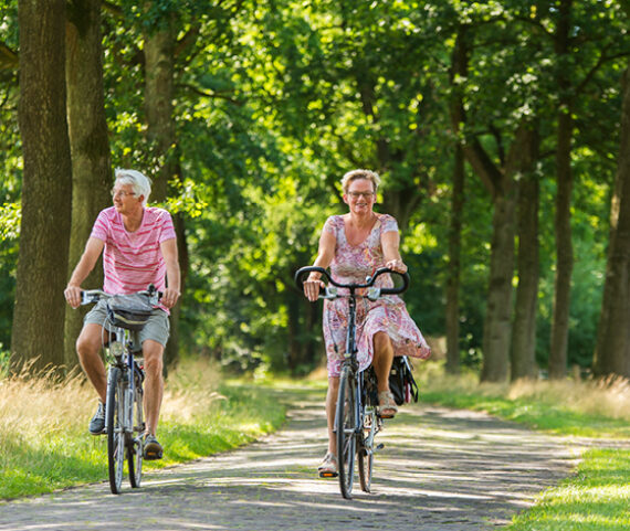 Fietsarrangement bij Reuselink