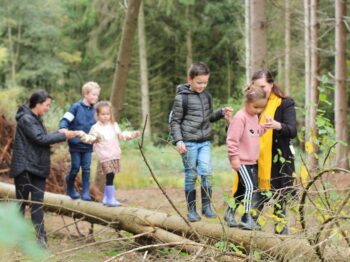 Herfstwandeling / Winterwandeling