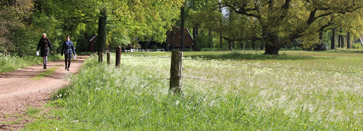 Natuur van Winterswijk